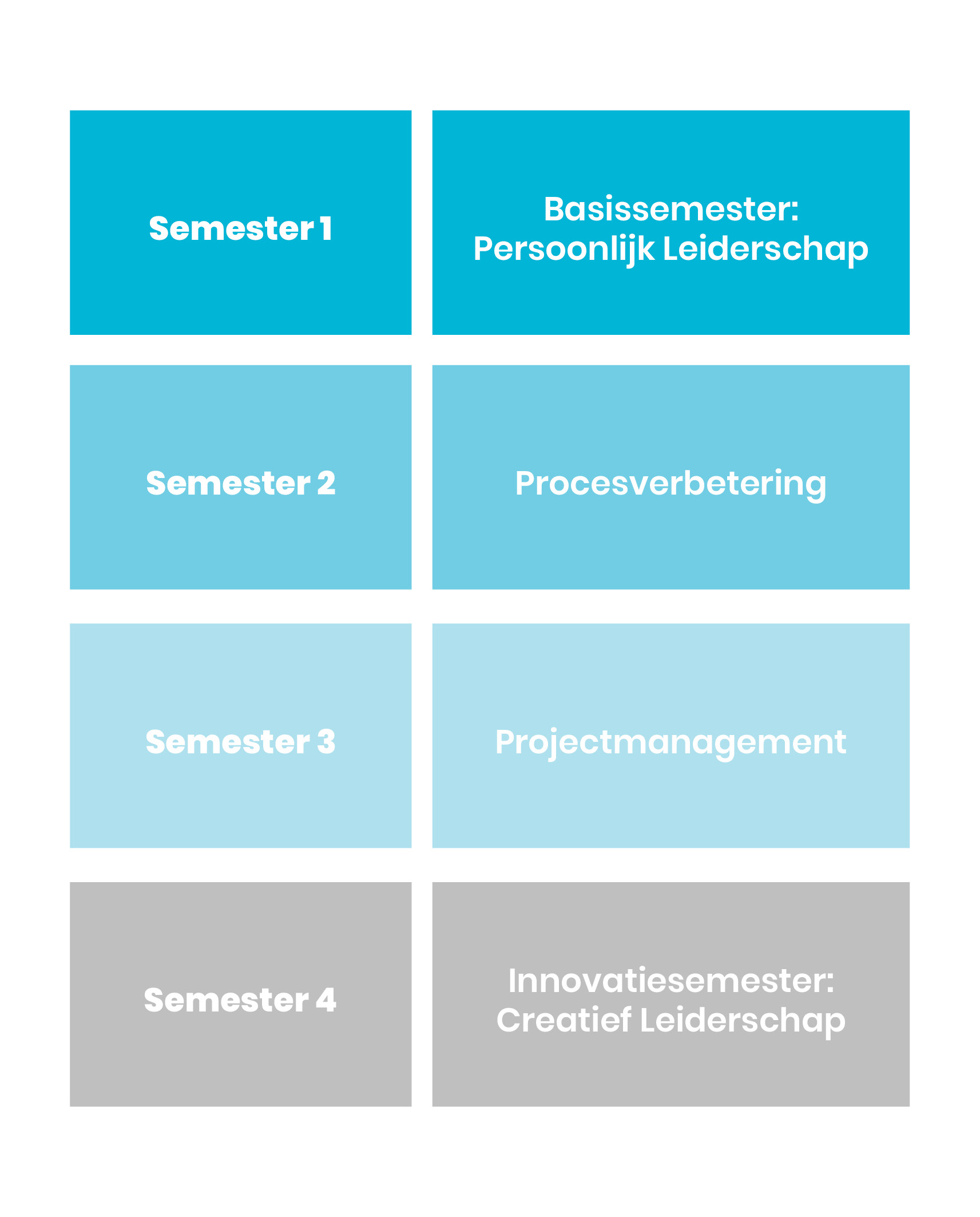 Schema met overzicht thema's per semester. Semester 1: persoonlijk leiderschap, semester 2: procesverbetering, semester 3: projectmanagement, semester 4: creatief leiderschap