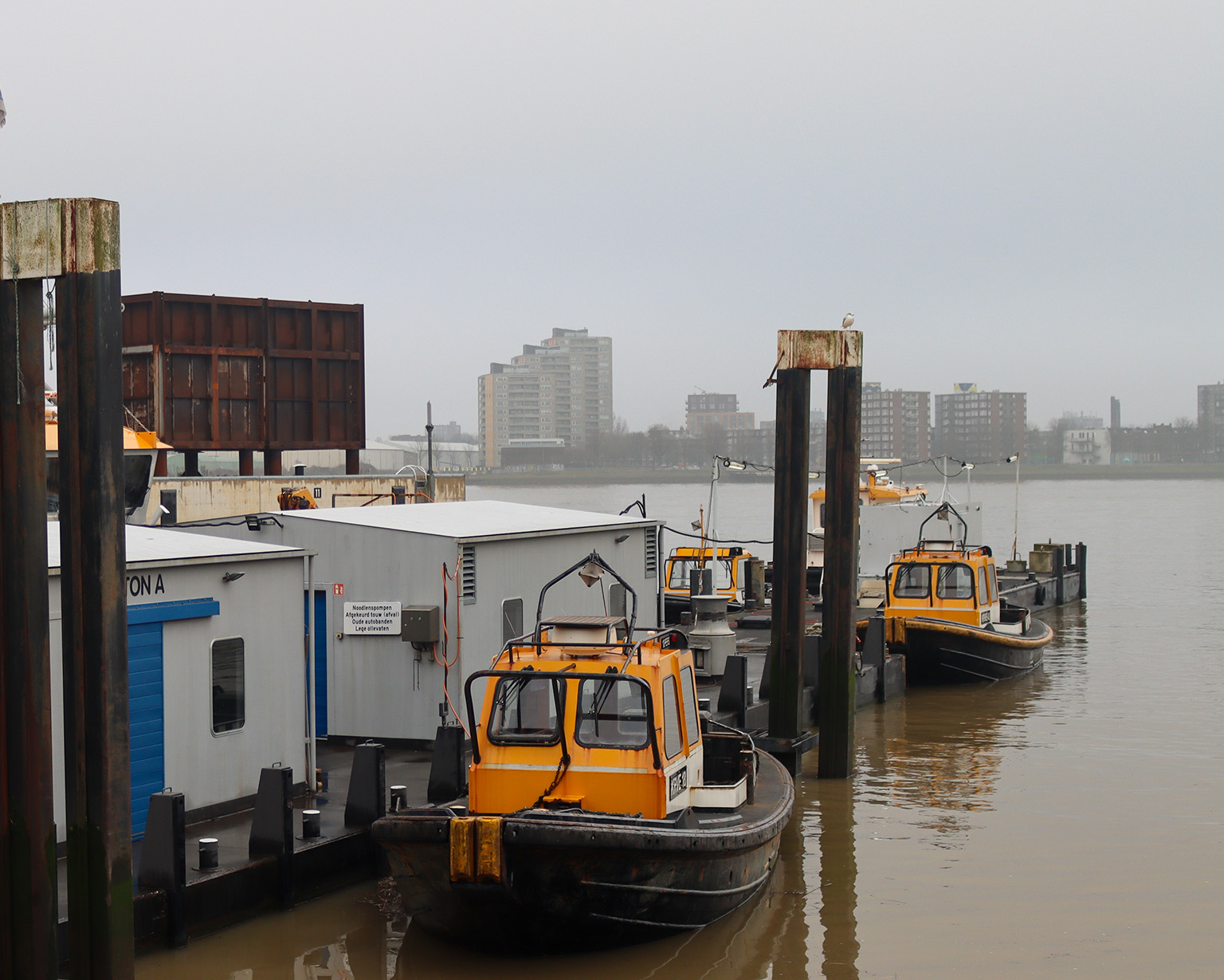 De locatie waar de Roeiers zich bevinden, op de RDM in Rotterdam.